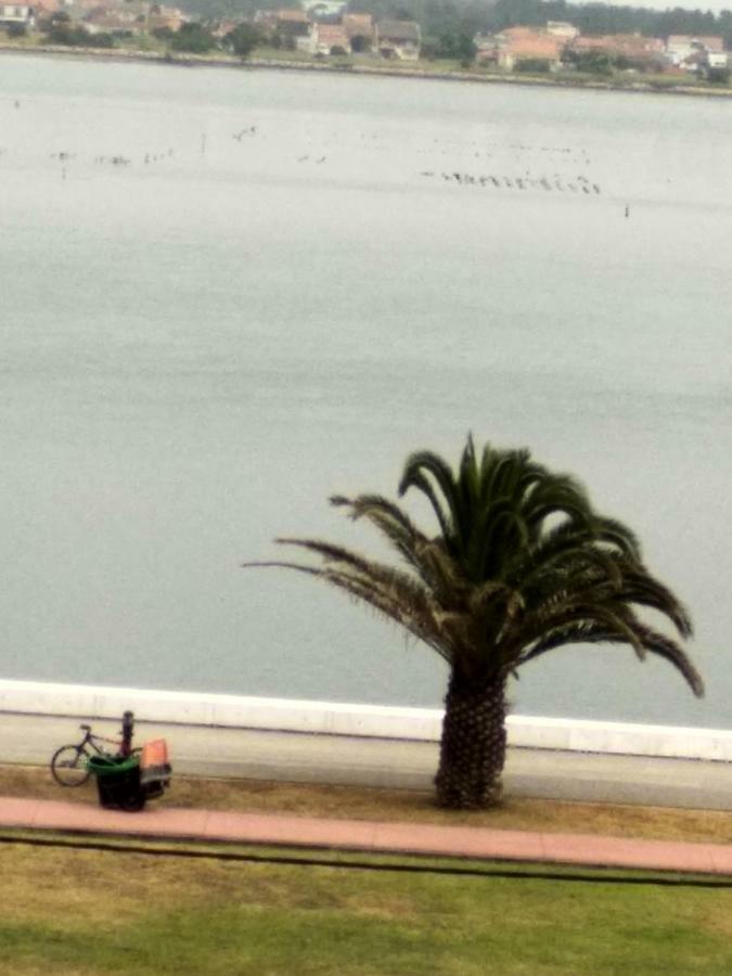Casa Das Riscas Verdes Gafanha da Encarnacao المظهر الخارجي الصورة